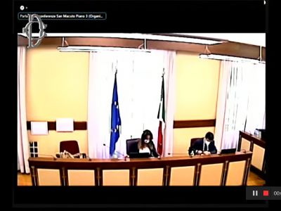 Parlamento: audizione Presidenti Fedriga ed Emiliano in commissione affari regionali - 20.05.2021